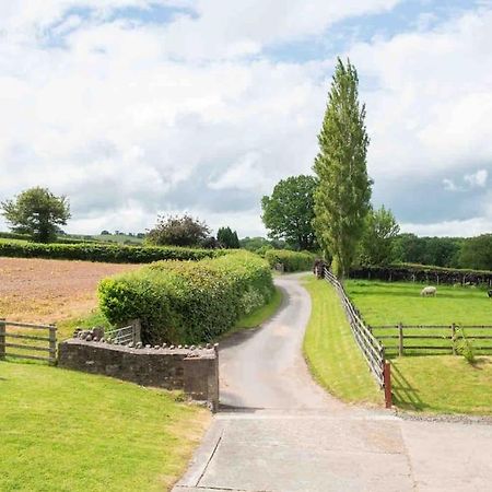 Coed Farm-Hot Tub-Sleeps 12-Near Brecon Villa Exterior photo